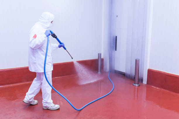 Best Driveway Cleaning and Restoration in Mccaysville, GA