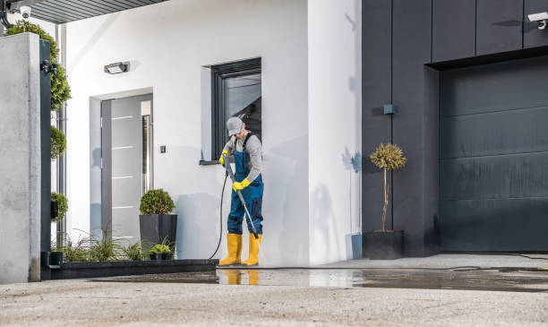 Best Vinyl Siding Pressure Washing in Mccaysville, GA